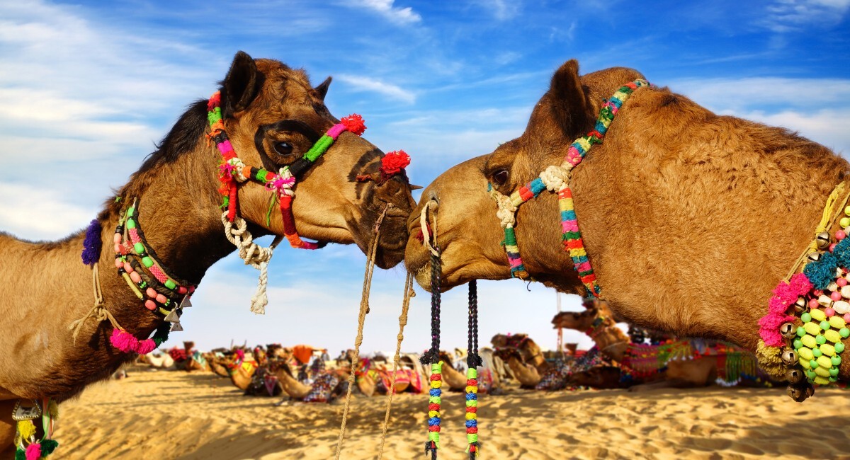 Bikaner