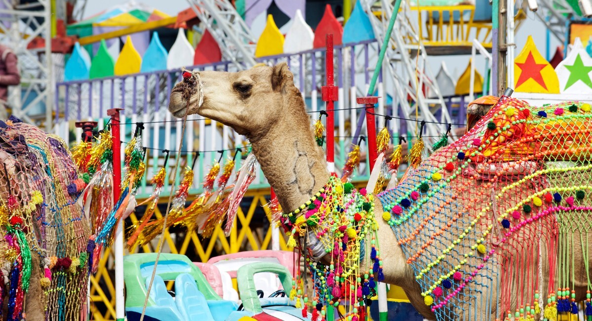 Pushkar